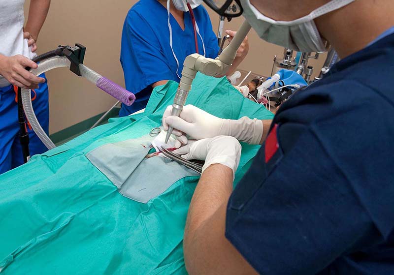 Trải nghiệm thực tế khi điều trị trĩ bằng laser không đau tại Quy Nhơn